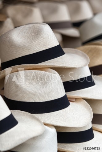 Bild på Panama hats 